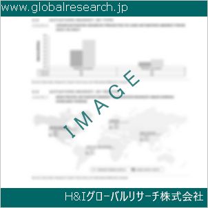 グローバルリサーチ調査資料のイメージ